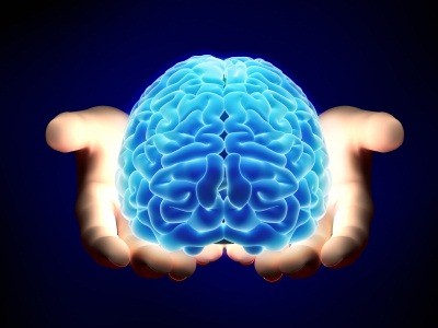 person holding brain in hands